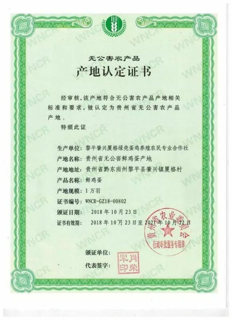 鸡蛋农户散养绿壳鸡蛋现捡现发产地无公害认证现捡现发