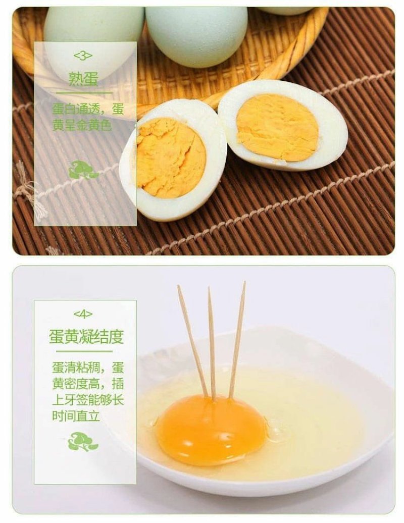 鸡蛋农户散养绿壳鸡蛋现捡现发产地无公害认证现捡现发