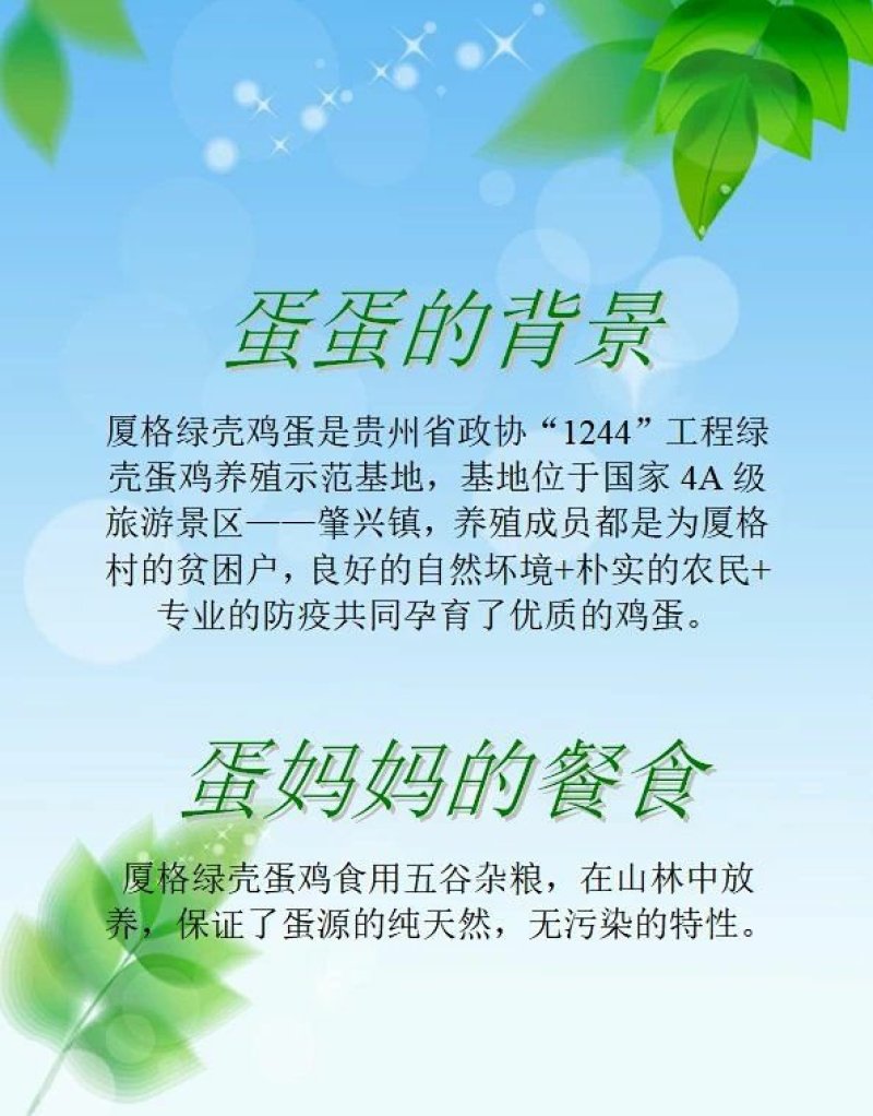 鸡蛋农户散养绿壳鸡蛋现捡现发产地无公害认证现捡现发