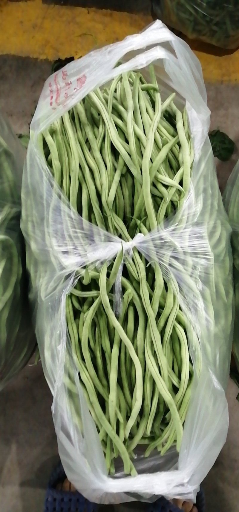 精品架豆王无筋豆无丝豆产地一手货源实力代发全国