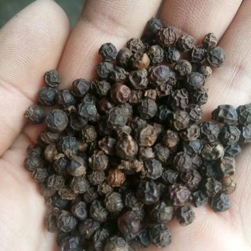 黑胡椒无硫颗粒均匀药食同源可做调料一公斤起