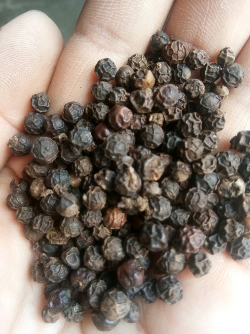 黑胡椒无硫颗粒均匀药食同源可做调料