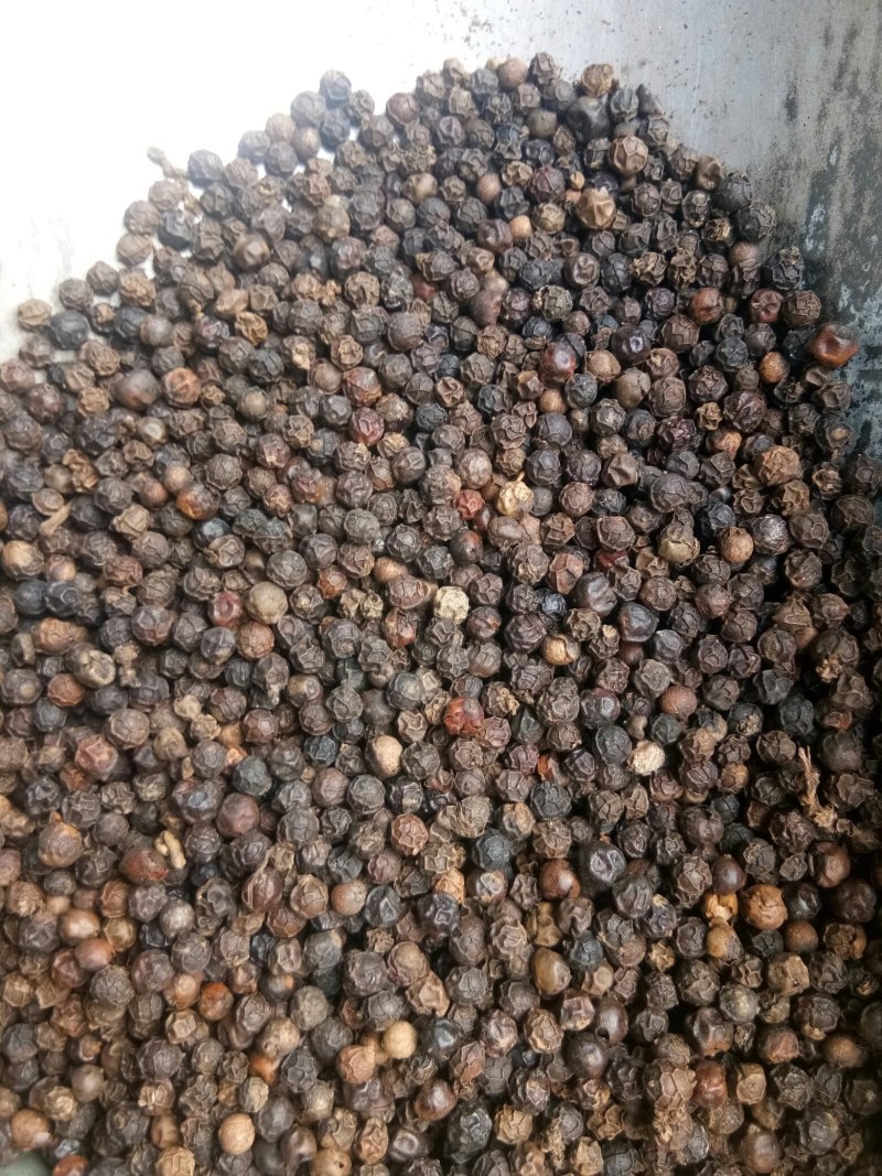 黑胡椒无硫颗粒均匀药食同源可做调料
