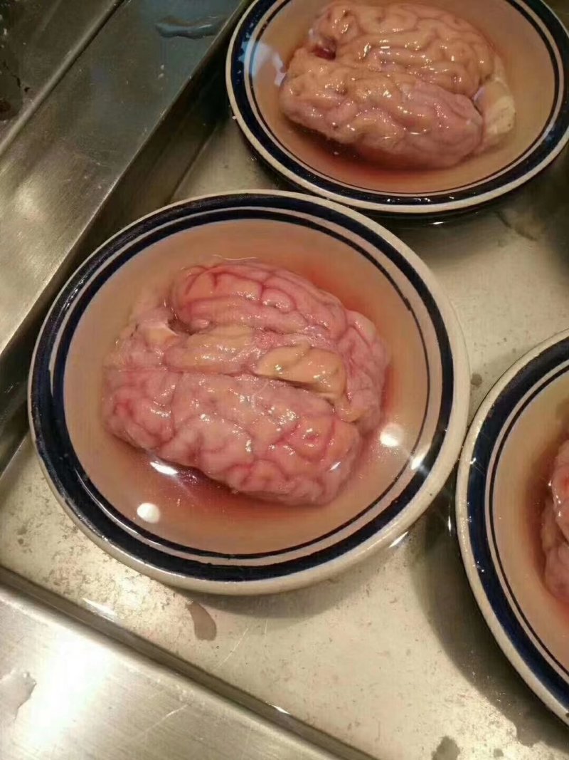 单冻羊脑，烤羊脑，涮锅都行