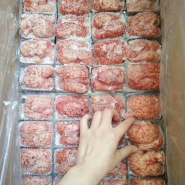 单冻羊脑，烤羊脑，涮锅都行