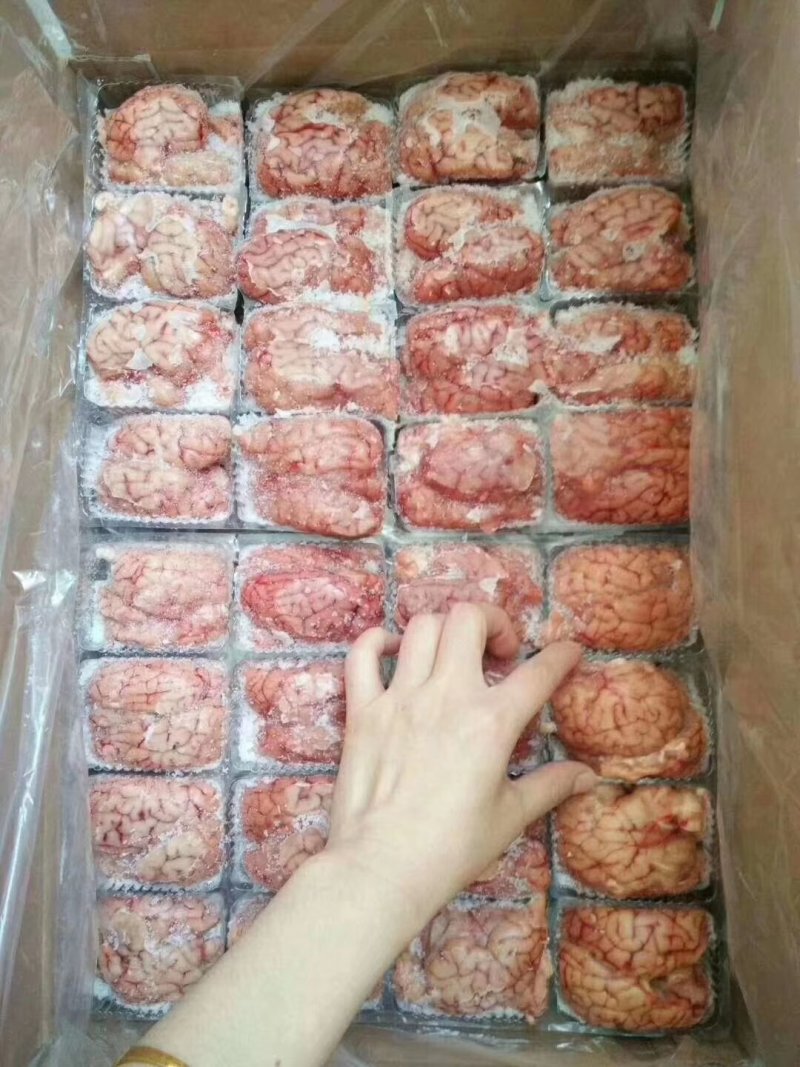 单冻羊脑，烤羊脑，涮锅都行