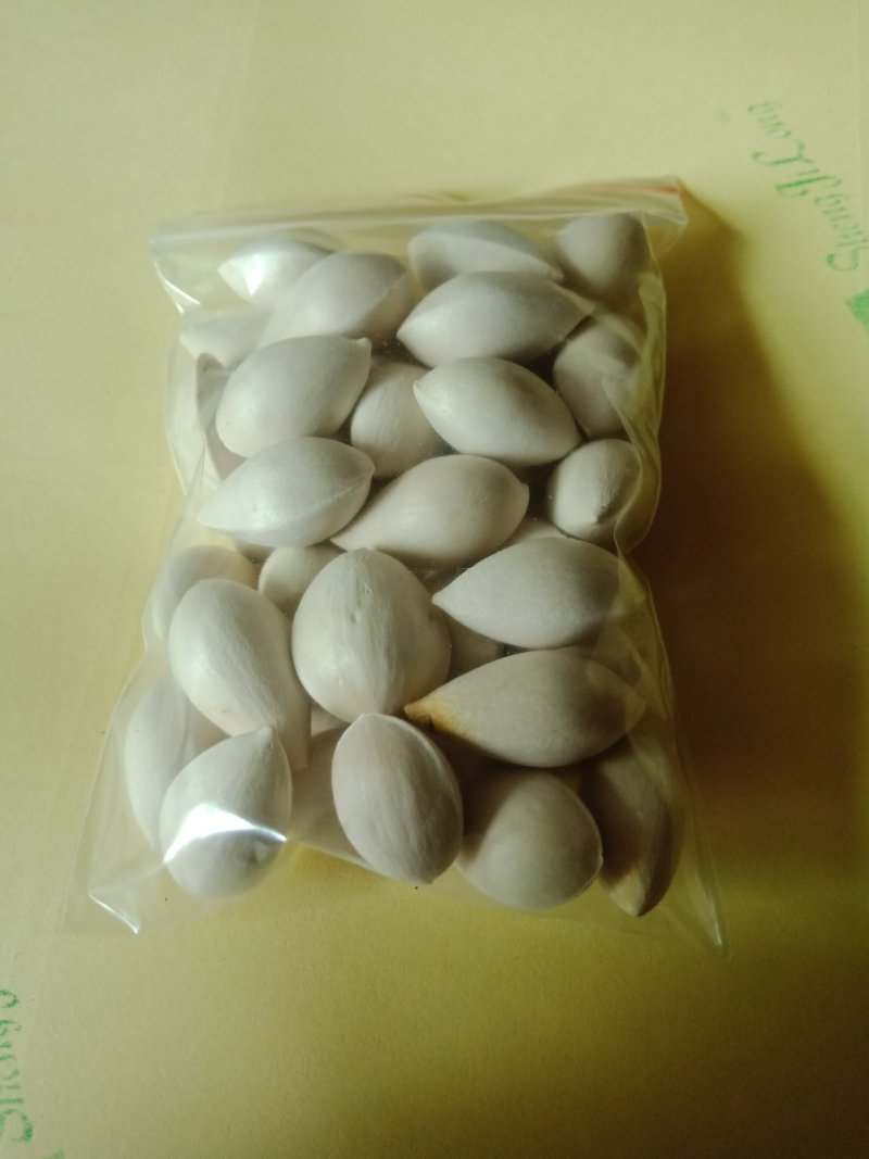 白果