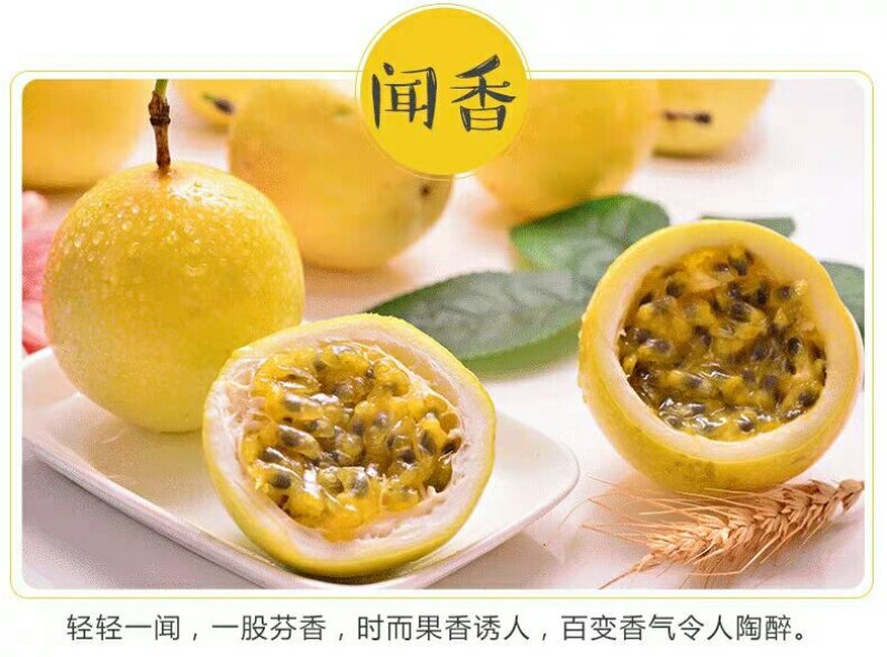 黄金百香果5斤大果新鲜一级包邮特级黄色皮热带水果多汁西番