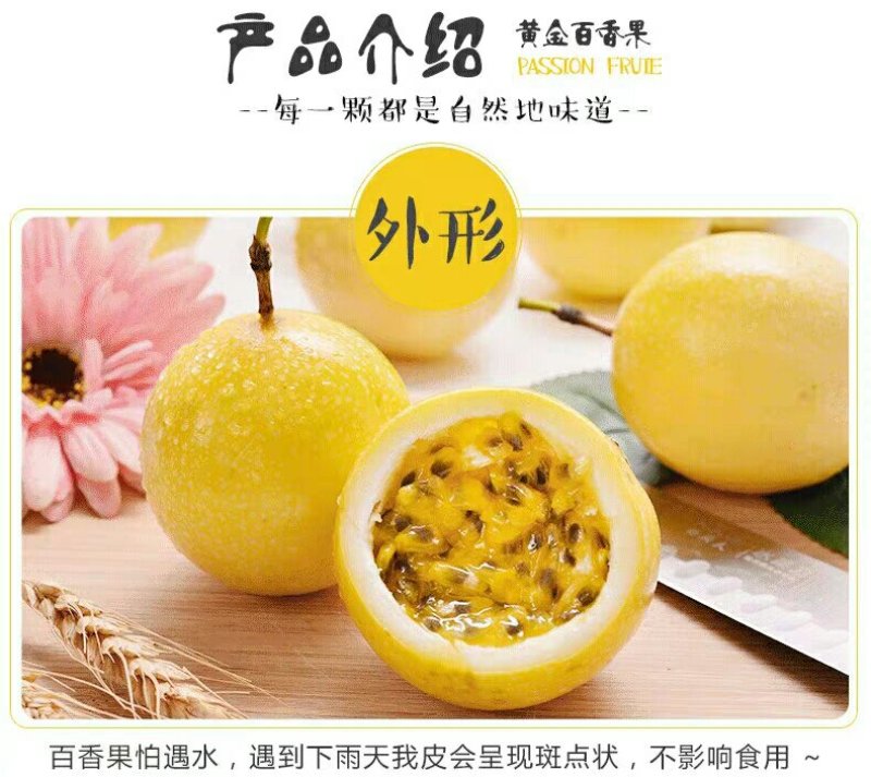 黄金百香果5斤大果新鲜一级包邮特级黄色皮热带水果多汁西番