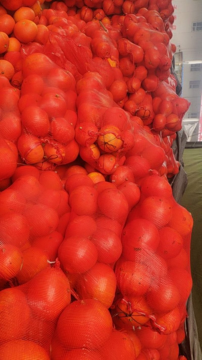 金瓜红南瓜市场货加工厂货