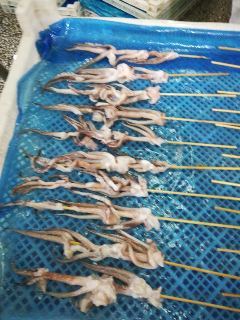 鱿鱼头35g真鱿和阿鱿手把串鱿鱼串