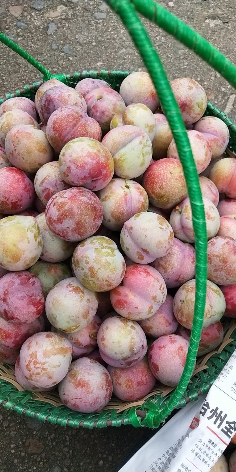桃形李，