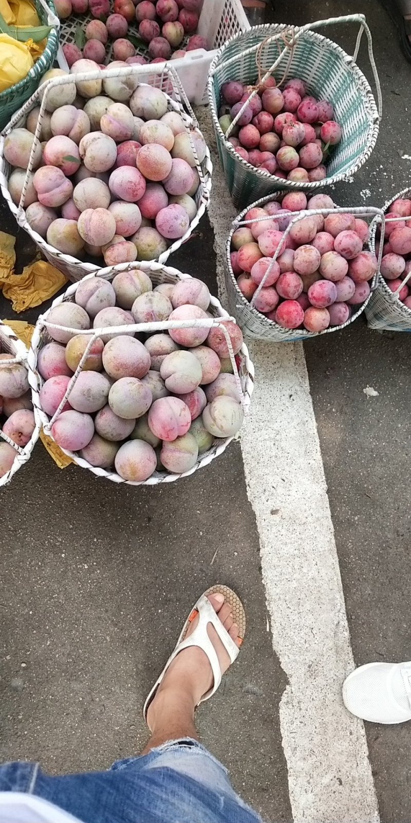 桃形李，