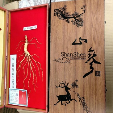送礼佳品野山参品质保证