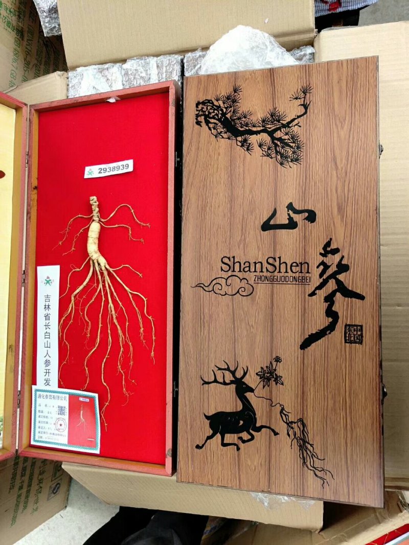 送礼佳品野山参品质保证