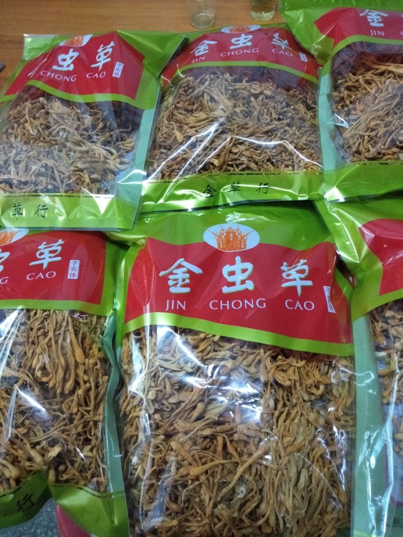 虫草花