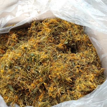 金银花