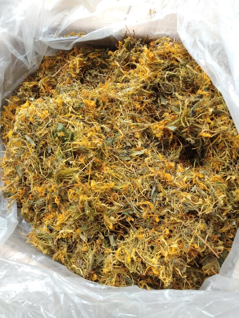 金银花