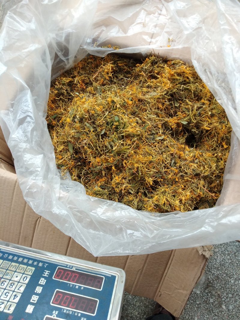 金银花