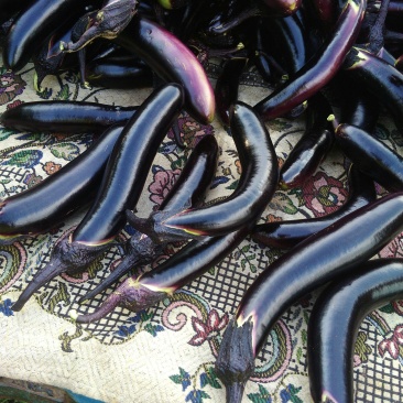茄子2两起步油黑亮丽现摘