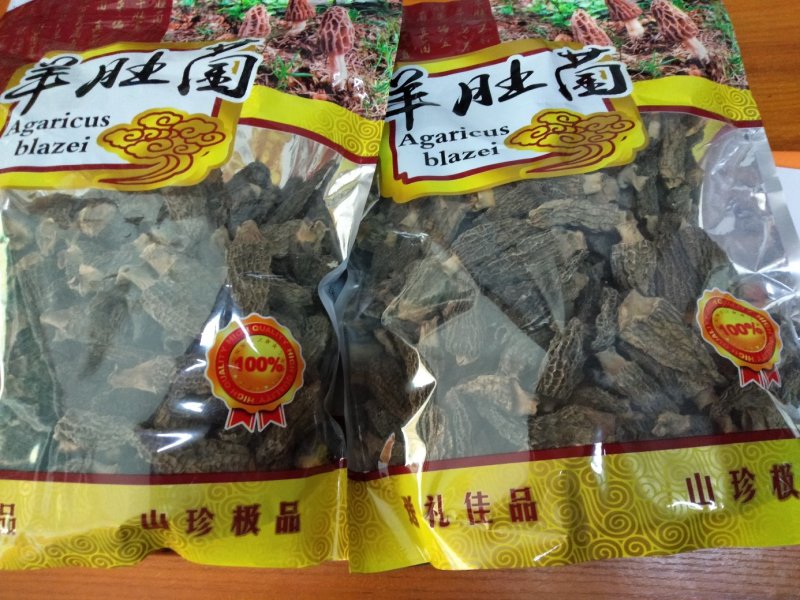 羊肚菌