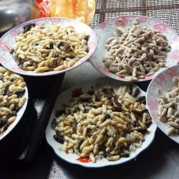 蜂蛹树蜂地雷锋黄蜂黑尾带巢活蜂熟冻蜂蛹野生蜂蛹