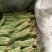长豆角（豇豆）大量上市中