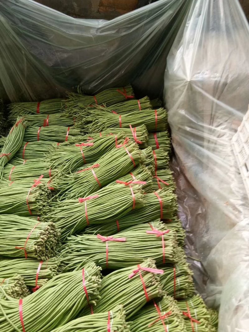 长豆角（豇豆）大量上市中