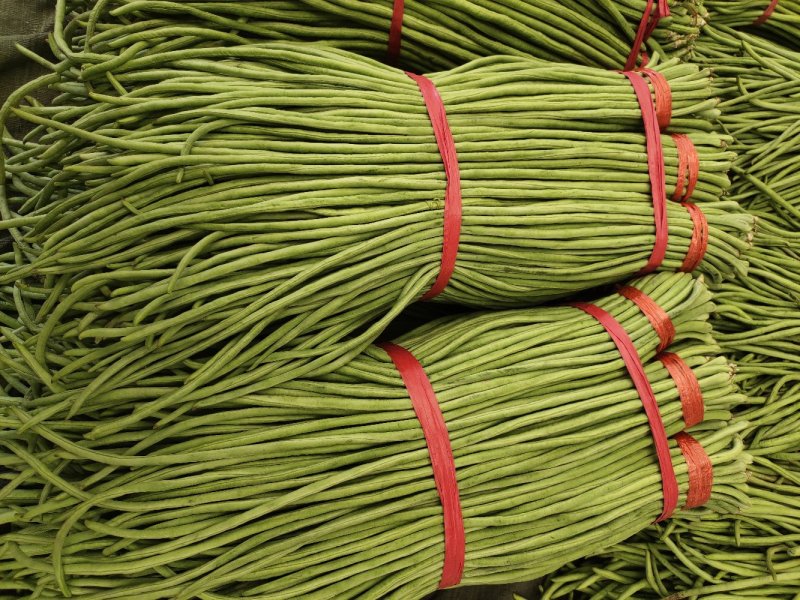 长豆角（豇豆）大量上市中