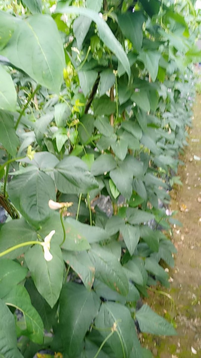 李华贵