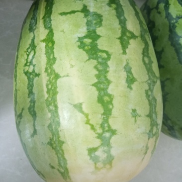 西瓜
