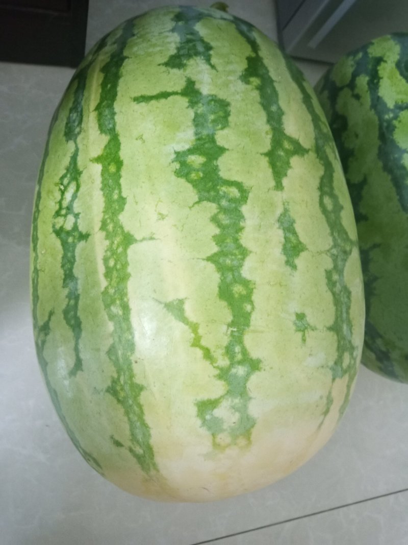 西瓜