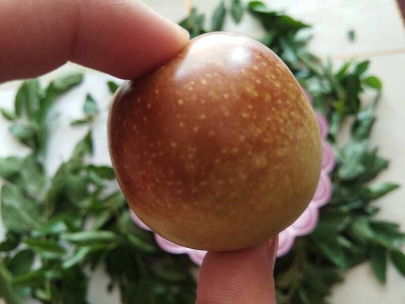 大量上市山东早脆王鲜枣产地直供货源充足