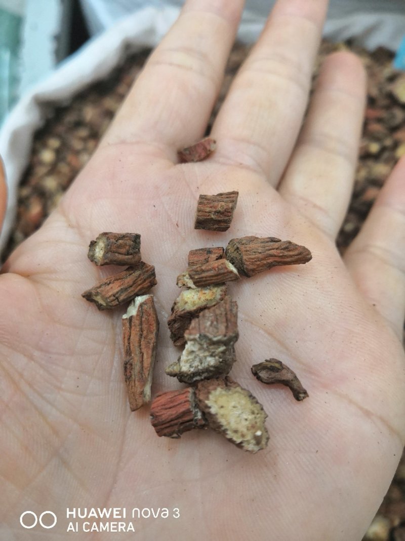 丹参片正宗山东优质丹参片22一斤，批发价格量大从优