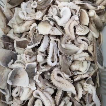 章鱼🐙