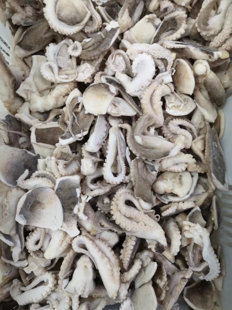 章鱼🐙