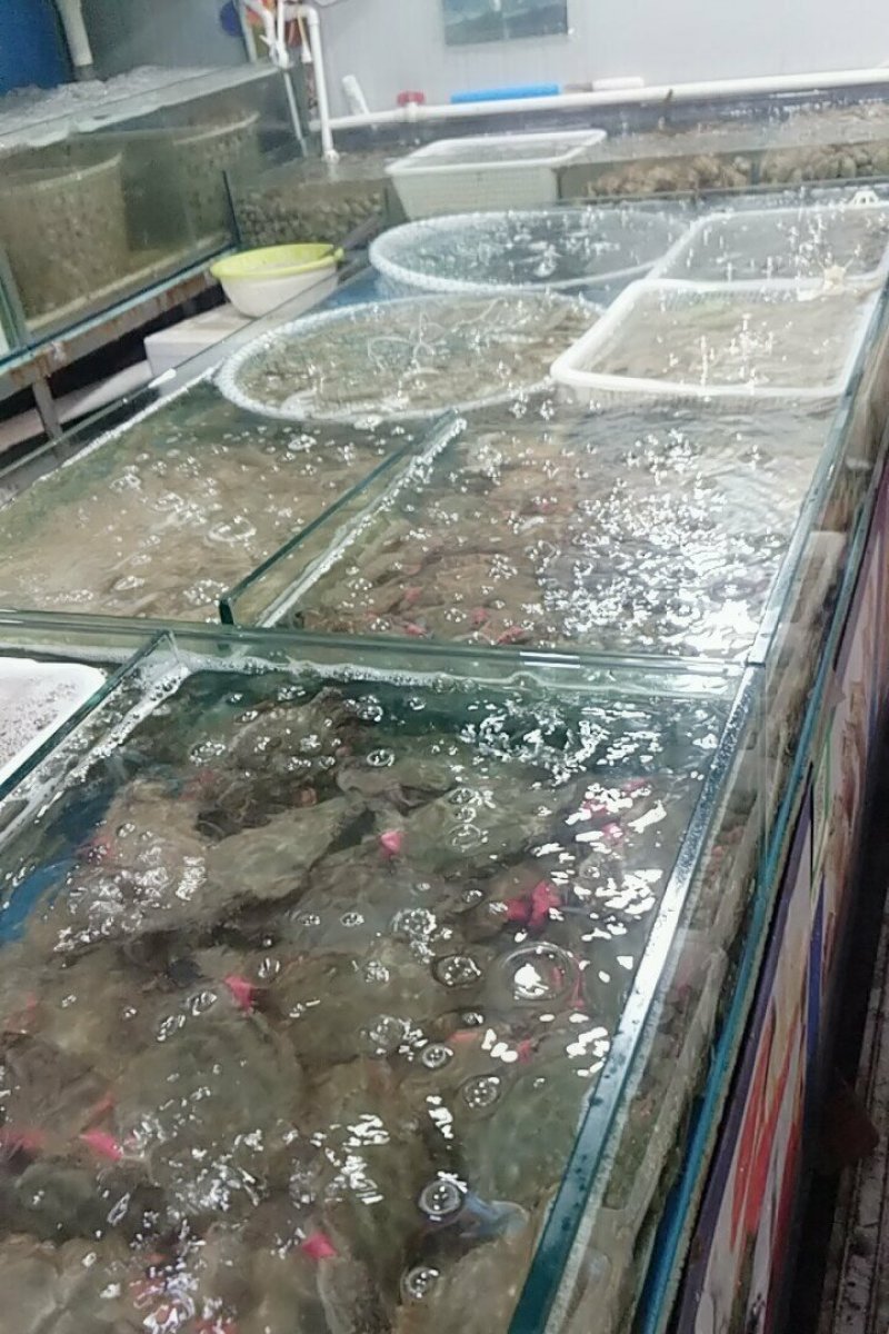 精品海鲜