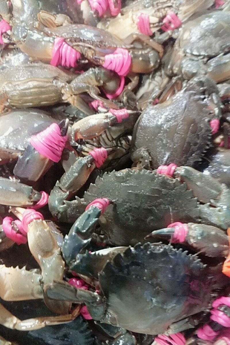 精品海鲜
