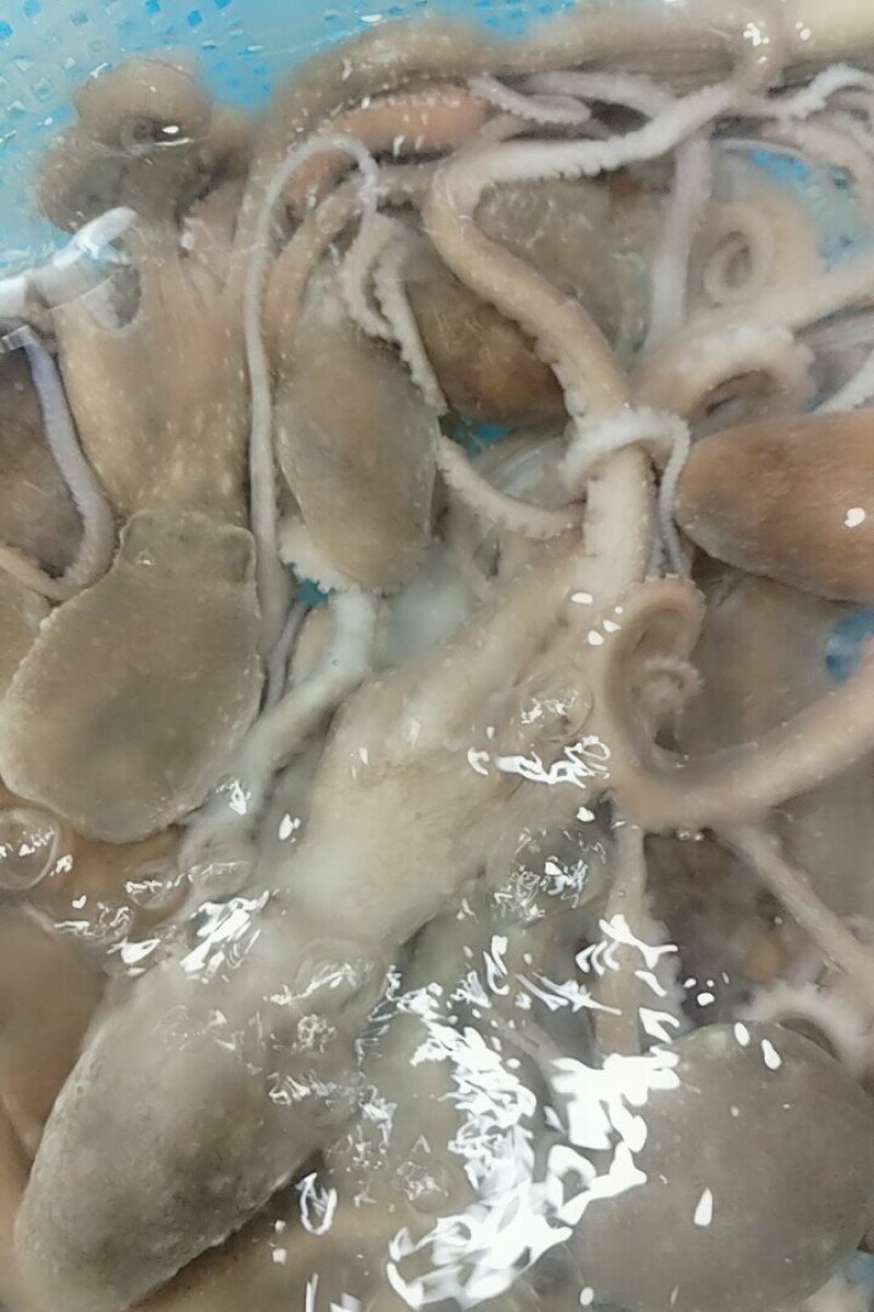 精品海鲜