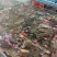 精品海鲜
