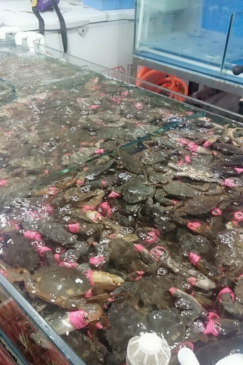 精品海鲜