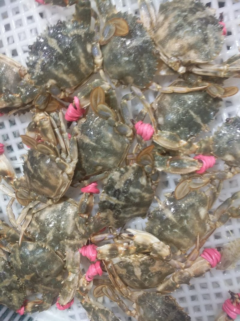精品海鲜