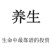 驴鞭新货驴鞭鞭大鞭长鞭各种鞭各种中药材