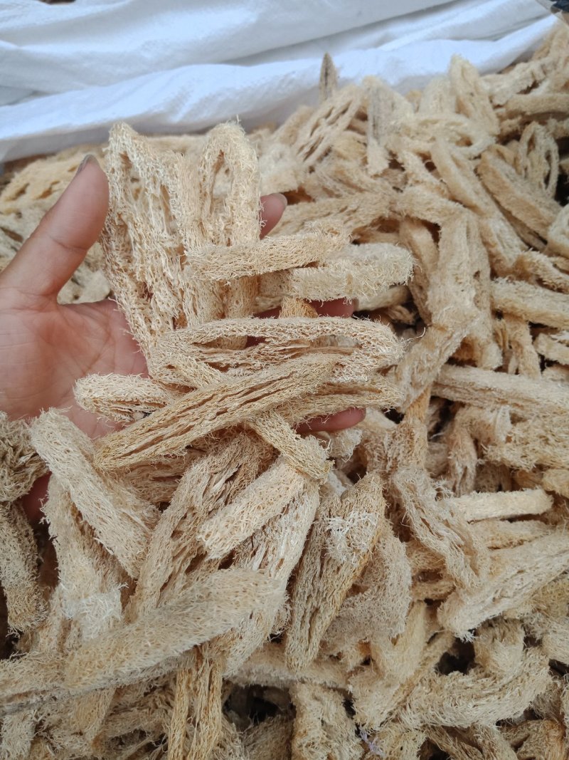 丝瓜络各种中药材批发质量保证产地批发