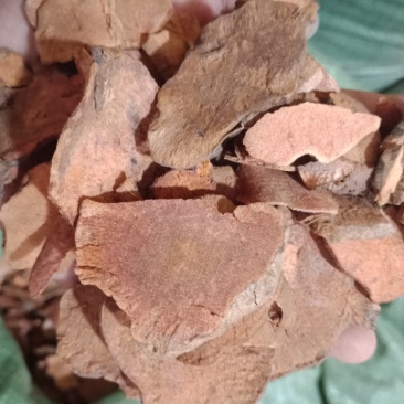 土茯苓土茯苓各种中药材批发零售各种规格中药材