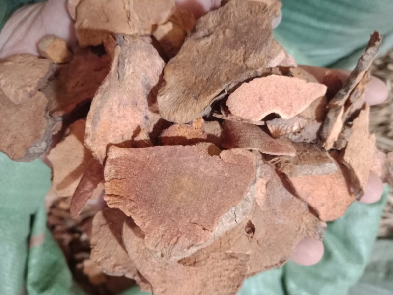 土茯苓土茯苓各种中药材批发零售各种规格中药材