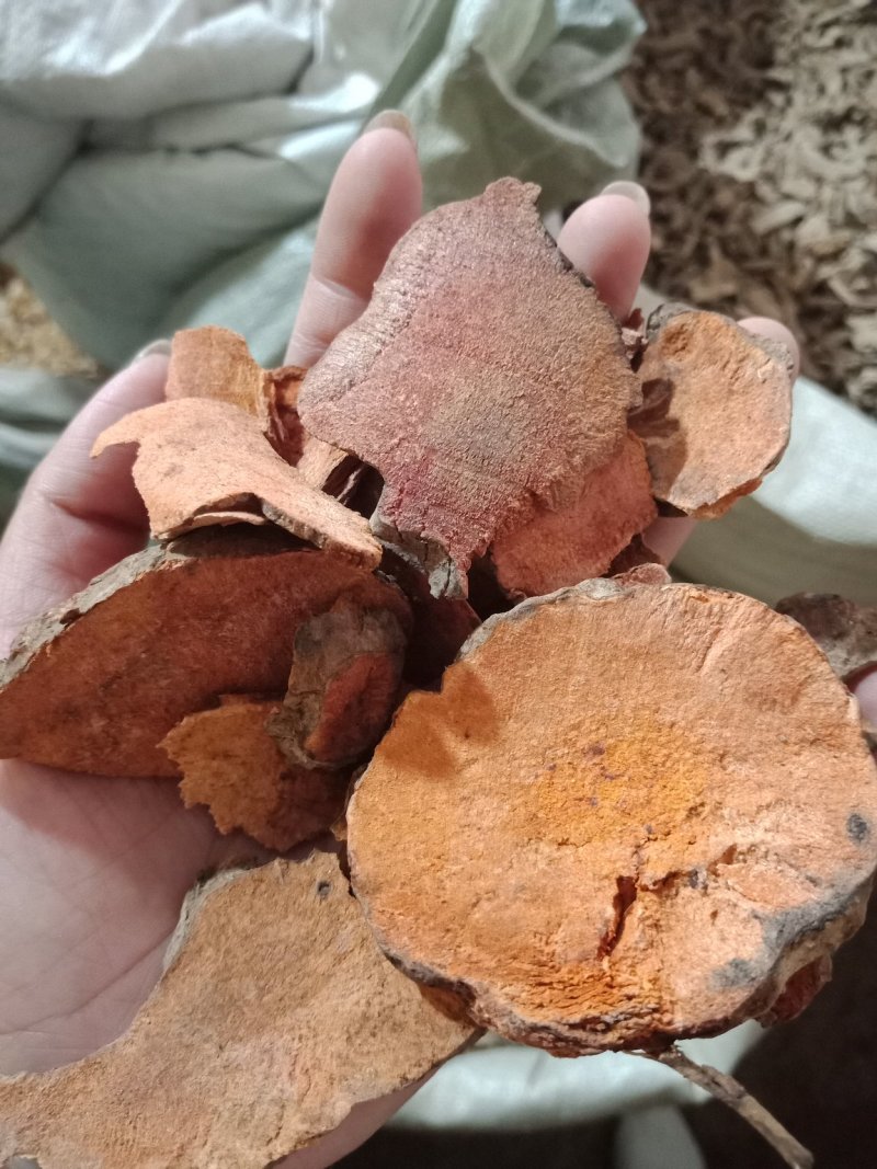 土茯苓土茯苓各种中药材批发零售各种规格中药材