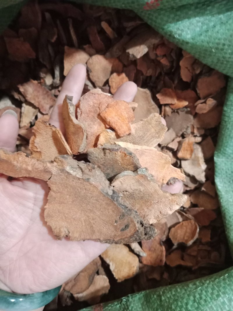土茯苓土茯苓各种中药材批发零售各种规格中药材