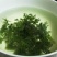野生茵陈新鲜泡茶绵茵陈