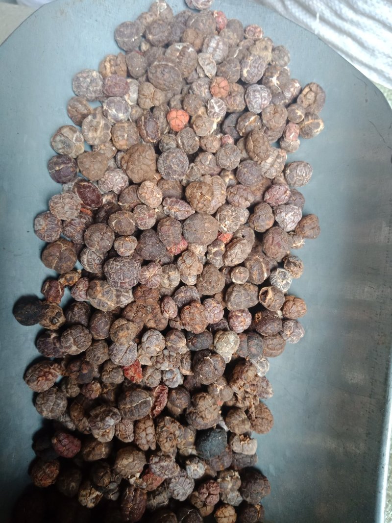 砂仁阳春砂仁壳砂国产批发零售各种规格中药材